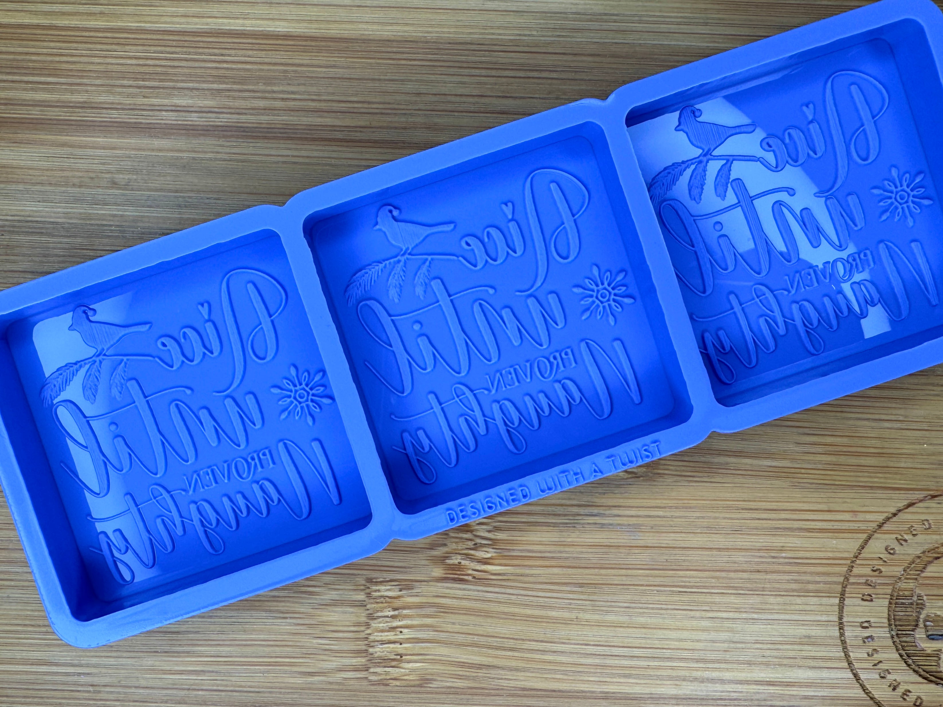 Nice Until Proven Naughty Silicone Trio Mold