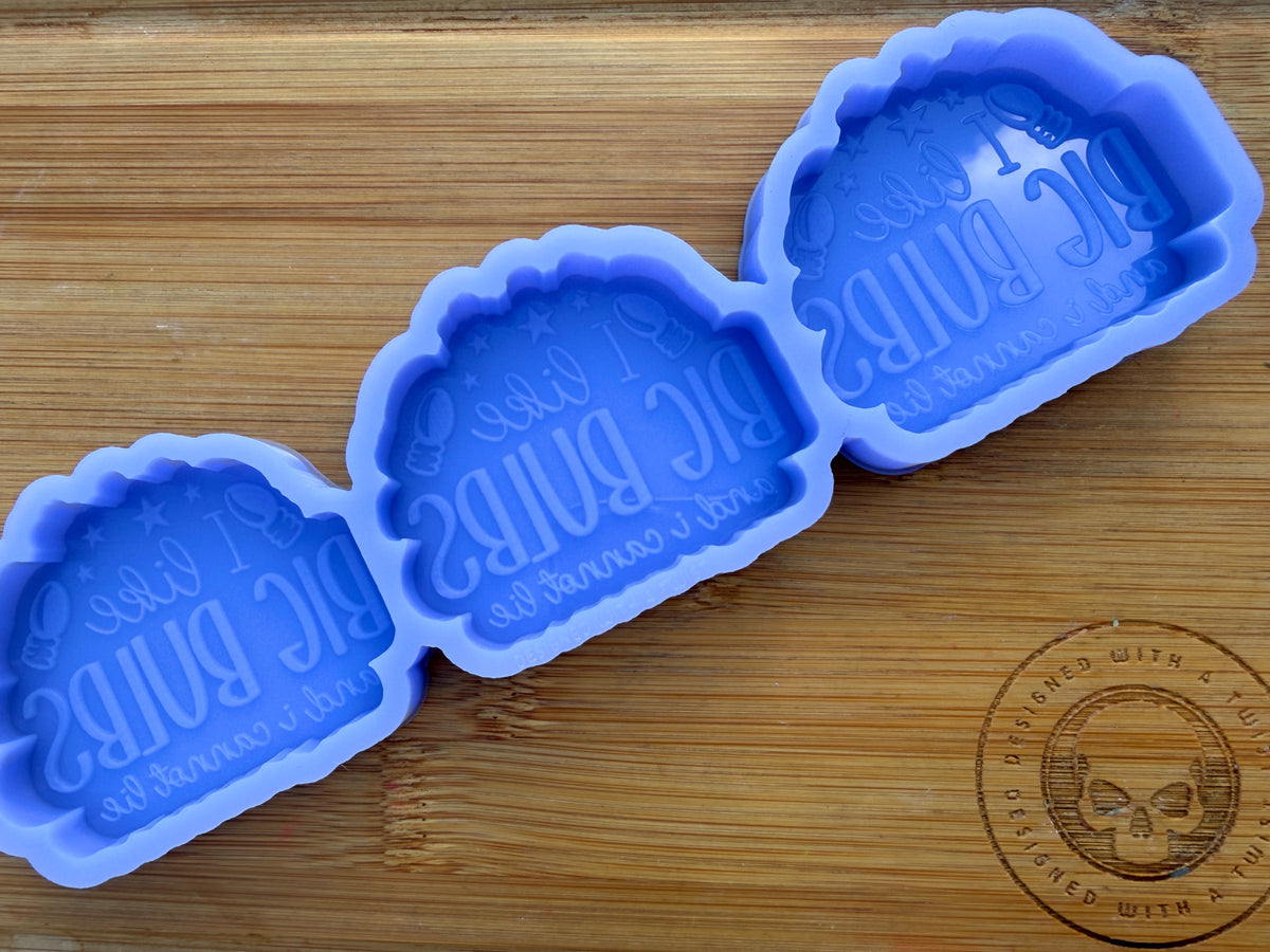 I Like Big Bulbs and I Cannot Lie Silicone Mold - 3 Cavities