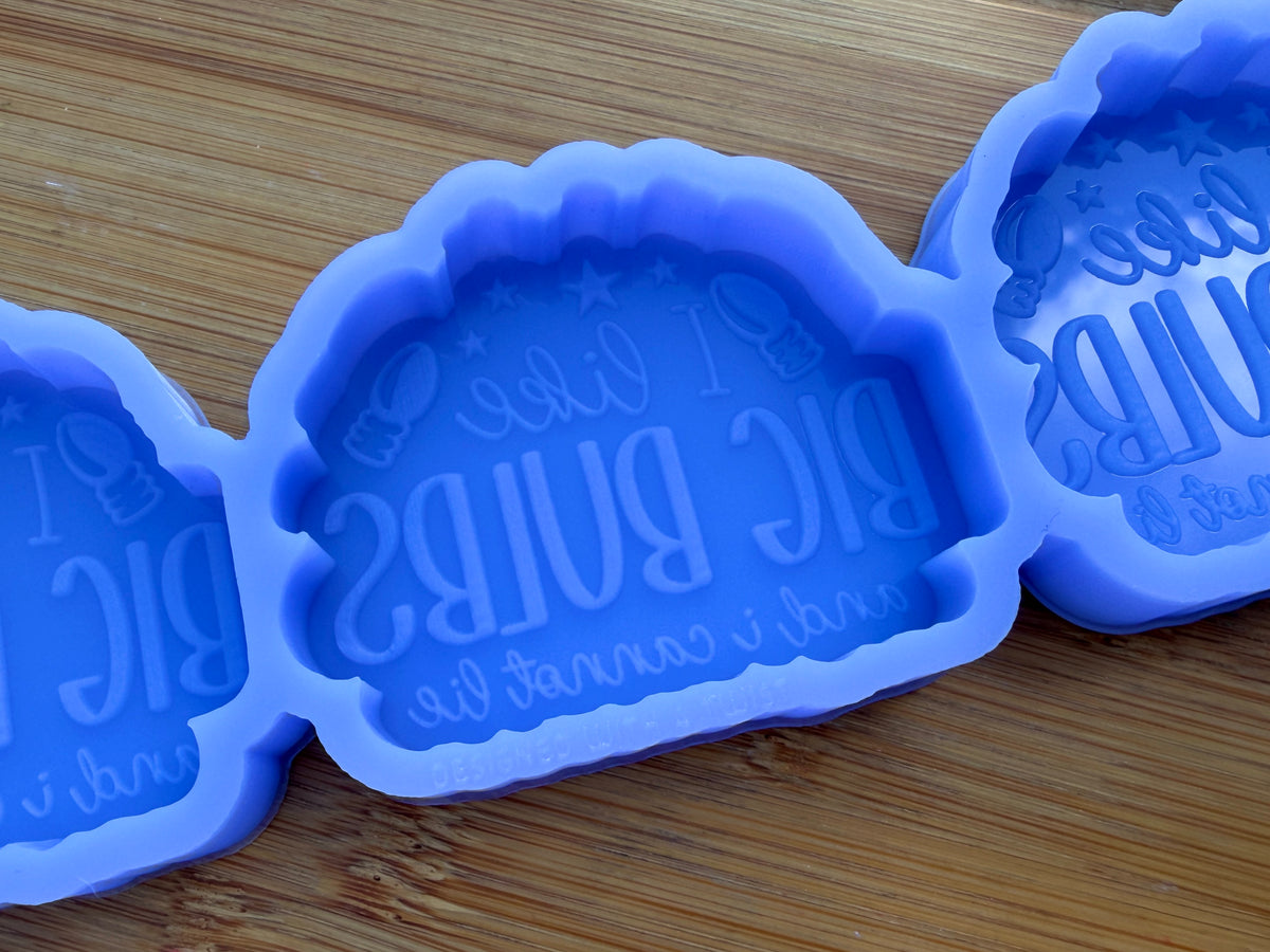 I Like Big Bulbs and I Cannot Lie Silicone Mold - 3 Cavities