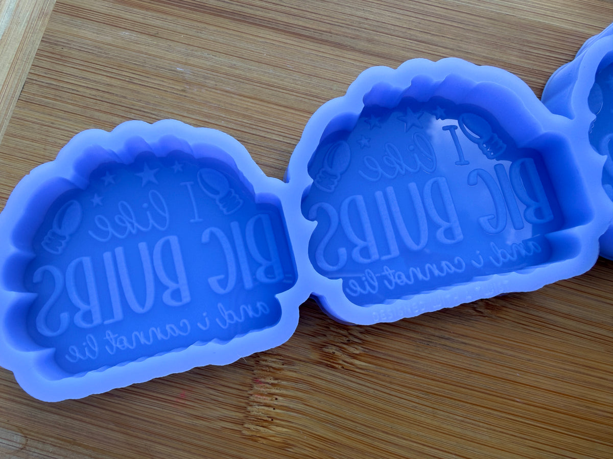 I Like Big Bulbs and I Cannot Lie Silicone Mold - 3 Cavities