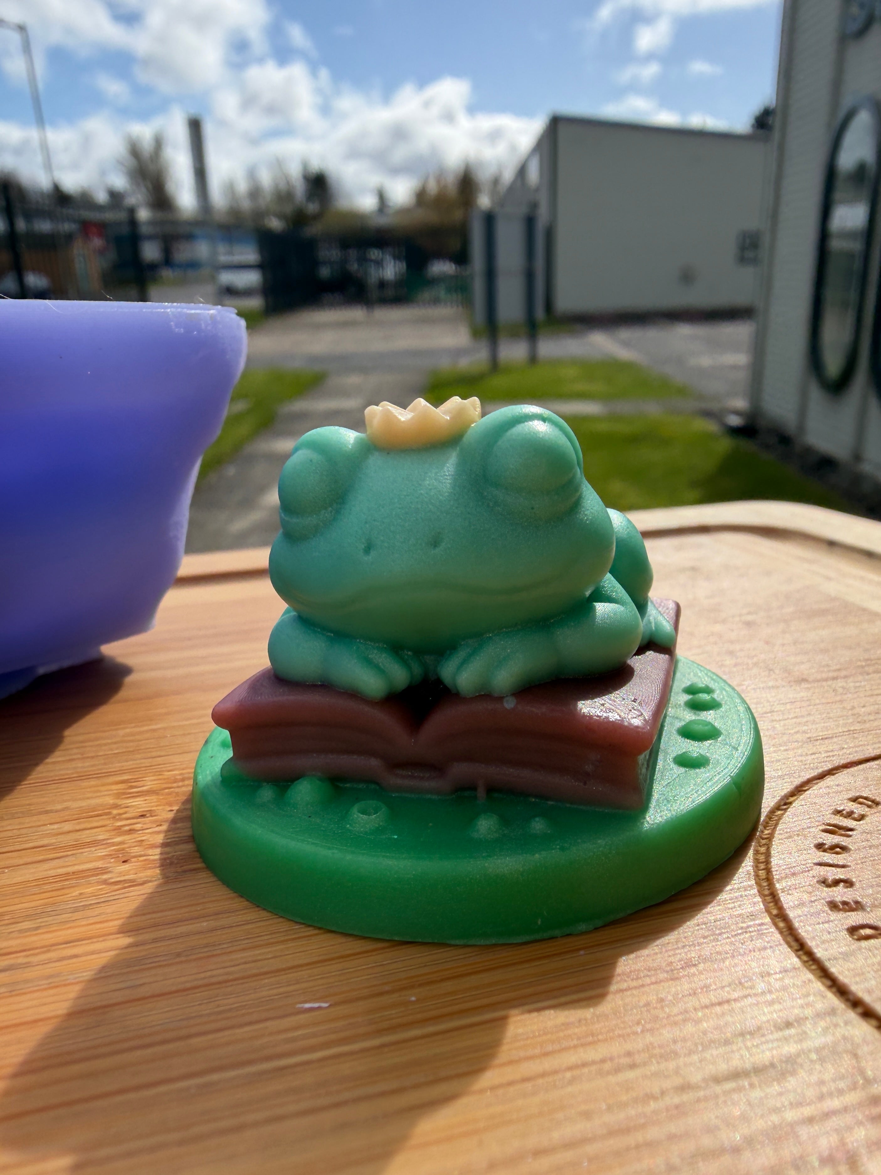 3D Fairytale Frog Silicone Mold - 3 Cavities