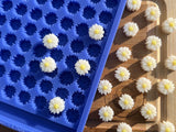 Daisy Scrape n Scoop Wax Silicone Mold - Designed with a Twist - Top quality silicone molds made in the UK.