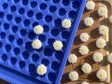 Daisy Scrape n Scoop Wax Silicone Mold - Designed with a Twist - Top quality silicone molds made in the UK.